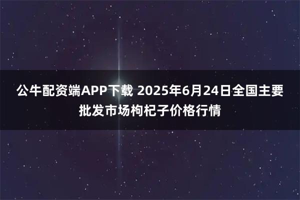 公牛配资端APP下载 2025年6月24日全国主要批发市场枸杞子价格行情