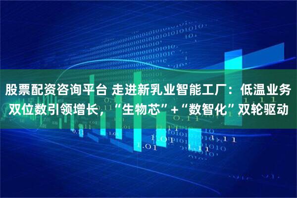 股票配资咨询平台 走进新乳业智能工厂：低温业务双位数引领增长，“生物芯”+“数智化”双轮驱动